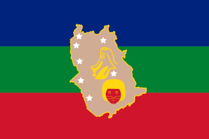 Bandera de Amazonas